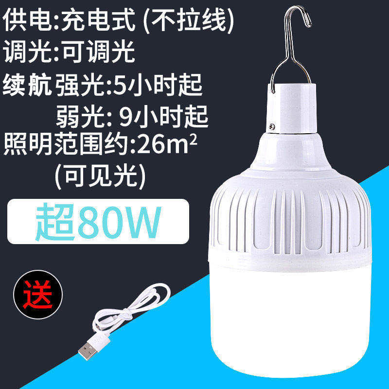Rechargeable LED Bulb Super Br - Outdoor Lighting Vendors recension och pris
