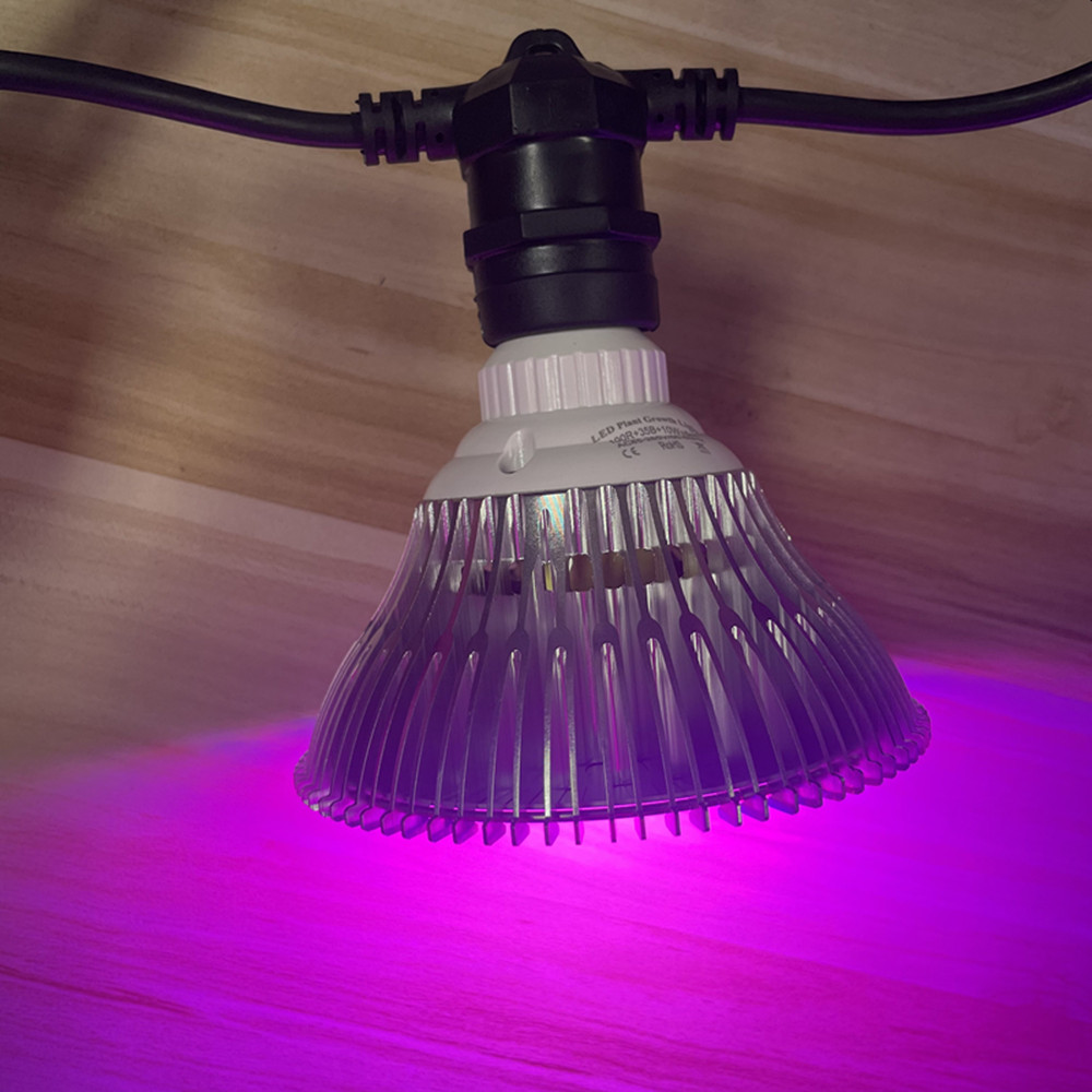 10M Cable LED String Commercia - Outdoor Lighting Manufacturers recension och pris